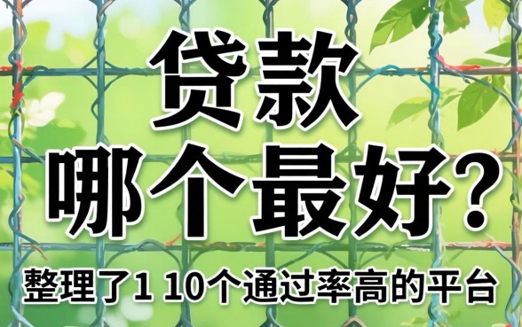 网上贷款哪个最好?整理了10个通过率高的平台