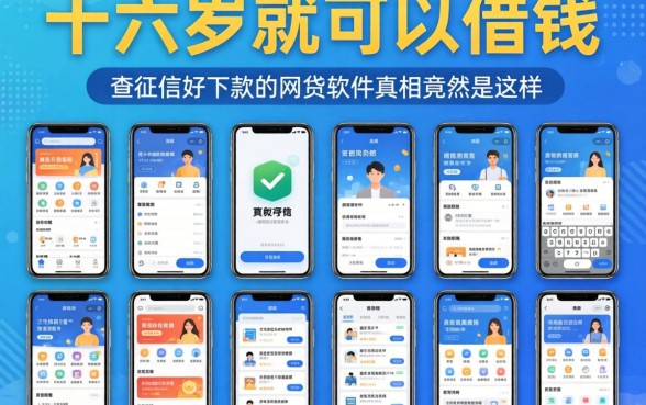 我试了十几个所谓的十六岁就可以借钱的软件，发现不查征信好下款的网贷软件真相竟然是这样