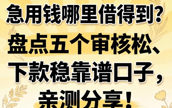 急用钱哪里借得到？盘点五个审核松、下款稳的靠谱口子，亲测分享！
