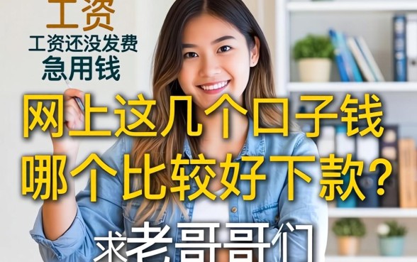 工资还没发急用钱，网上这几个口子哪个比较好下款？求老哥们推荐！