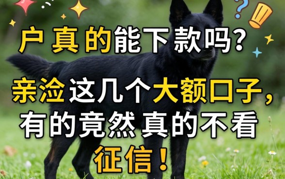 黑户真的能下款吗？亲测这几个大额口子，有的竟然真的不看征信！