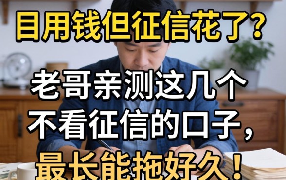 急用钱但征信花了？老哥亲测这几个不看征信的口子，最长能拖好久！