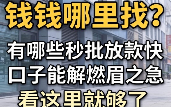 急需用钱哪里找？有哪些秒批放款快的口子能解燃眉之急？看这里就够了