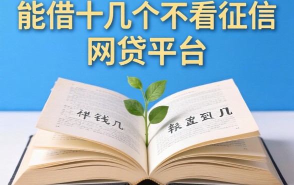 我翻了十几个不看征信的网贷平台,发现能借到钱的只有这几个