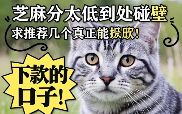 芝麻分太低到处碰壁，求推荐几个真正能下款的口子！