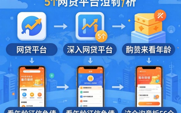 通过各种网贷平台，深入剖析5个不看年龄征信负债的平台