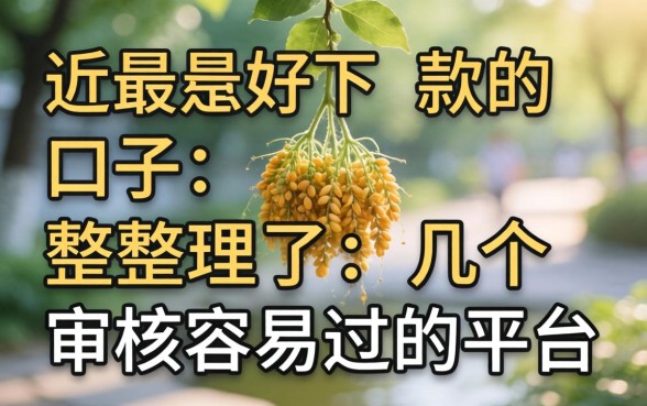 最近最好下款的口子：整理了几个审核容易过的平台