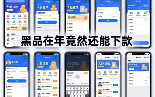 我试了十几款大额贷款软件，发现黑户在2026年竟然还能下款