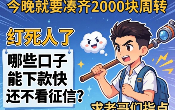 急死人了，今晚就要凑齐2000块周转，哪些口子能下款快还不看征信？求老哥们指点！