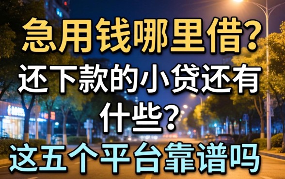 深夜急用钱哪里借？2026还下款的小贷有哪些？这五个平台靠谱吗？