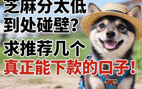 芝麻分太低到处碰壁，求推荐几个真正能下款的口子！