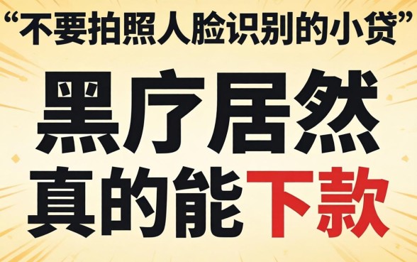 我试了那些不要拍照不人脸识别的小贷,黑户居然真的能下款