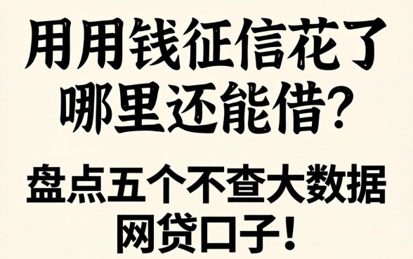急用钱征信花了哪里还能借？盘点五个不查大数据的网贷口子