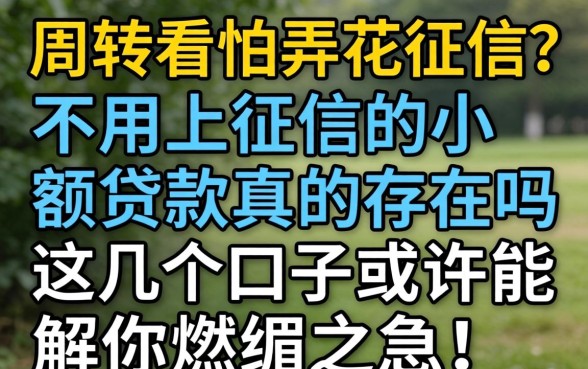 急需周转又怕弄花征信？不用上征信的小额贷款真的存在吗？这几个口子或许能解你燃眉之急！