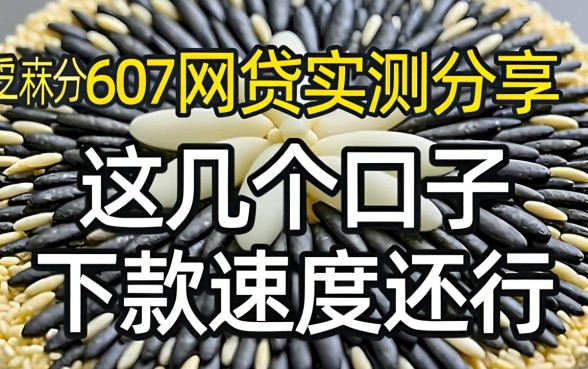 芝麻分607网贷实测分享，这几个口子下款速度还行