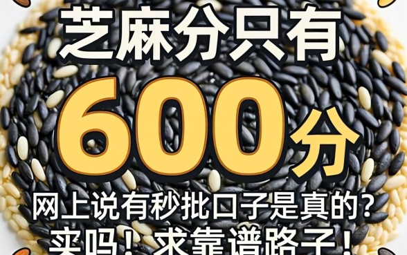 芝麻分只有600分，网上说有秒批口子是真的吗？求靠谱路子！