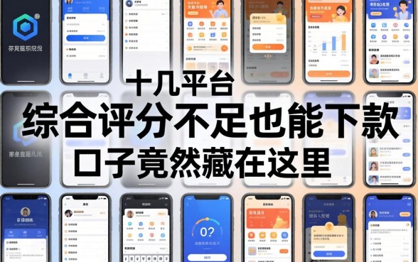 我实测了十几个平台,发现综合评分不足也能下款的口子竟然藏在这里