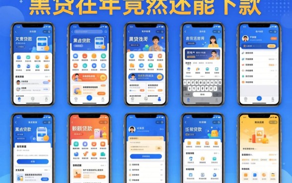 我试了十几款大额贷款软件，发现黑户在2026年竟然还能下款