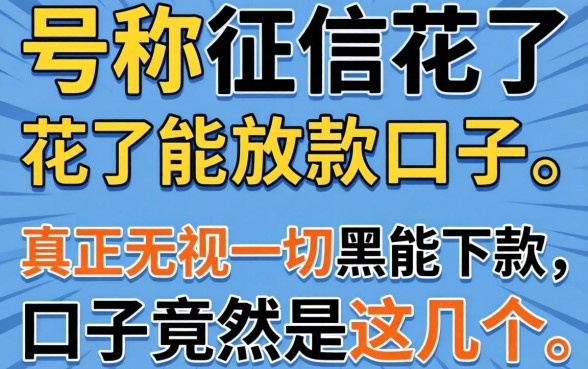 我试了那些号称征信花了能放款的口子，真正无视一切黑能下款口子竟然是这几个