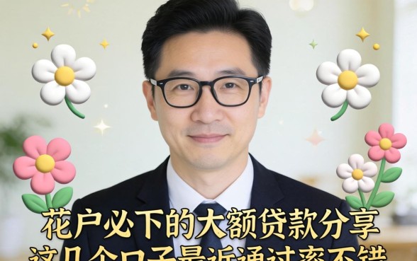 花户必下的大额贷款分享,这几个口子最近通过率不错