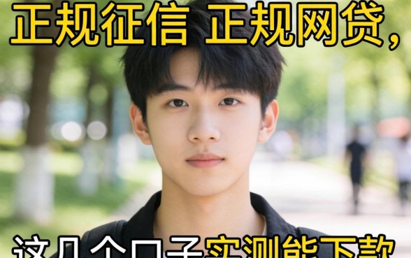 揭秘十九岁不看征信的正规网贷，这几个口子实测能下款