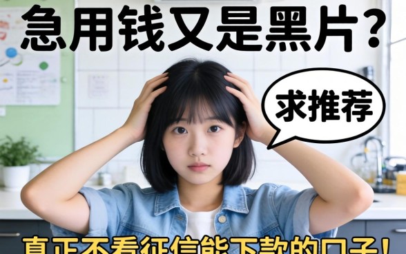急用钱又是黑户?求推荐真正不看征信能下款的口子!