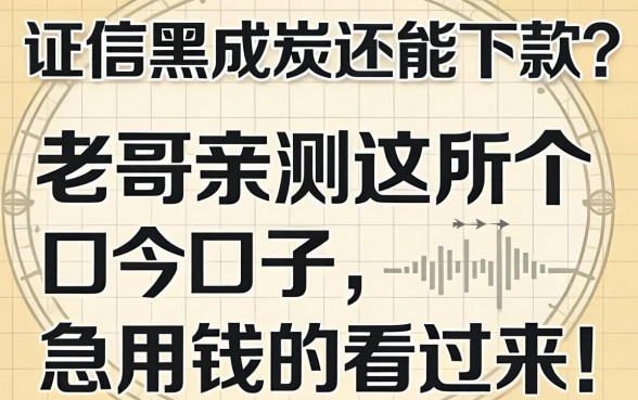 征信黑成炭还能下款？老哥亲测这几个口子，急用钱的看过来！
