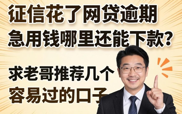 征信花了网贷逾期，急用钱哪里还能下款？求老哥推荐几个容易过的口子！