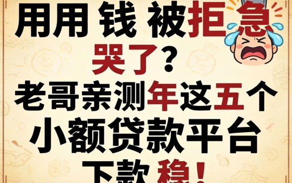 急用钱被拒急哭了？老哥亲测2026年这五个小额贷款平台，下款稳！