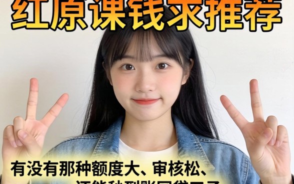 急需用钱求推荐！有没有那种额度大、审核松、还能秒到账的网贷口子？