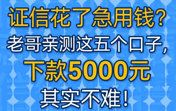 征信花了急用钱？老哥亲测这五个口子，下款5000元其实不难！