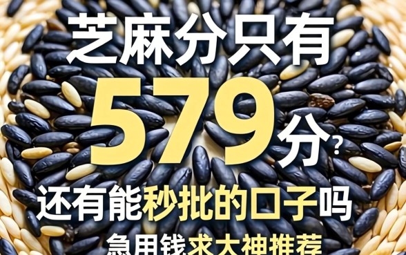 芝麻分只有579分，还有能秒批的口子吗？急用钱求大神推荐！