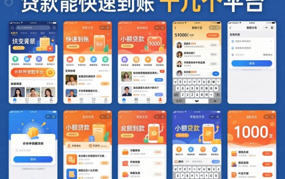 我试了十几个平台，发现能快速到账的小额贷款和1000至5000的小额贷款平台里，这几个最实在