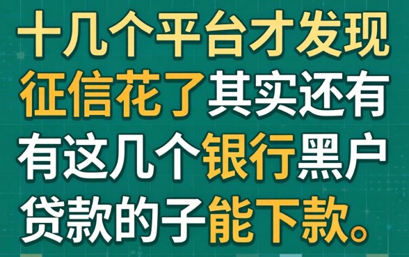 我试了十几个平台才发现，征信花了其实还有这几个银行黑户贷款的口子能下款