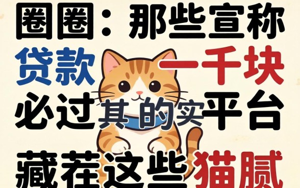 我试了一圈,那些宣称贷款一千块必过的平台其实藏着这些猫腻