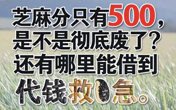 芝麻分只有500，是不是彻底废了？还有哪里能借到钱救急？