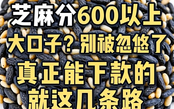 芝麻分600以上的大口子？别被忽悠了，真正能下款的就这几条路