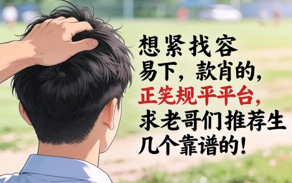 手头紧想找容易下款的正规平台,求老哥们推荐几个靠谱的!