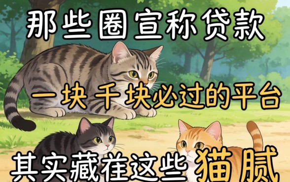 我试了一圈,那些宣称贷款一千块必过的平台其实藏着这些猫腻