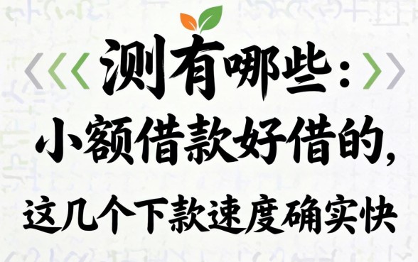 实测有哪些小额借款好借的,这几个下款速度确实快