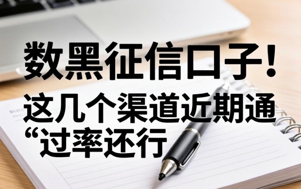 无视网黑征信的口子:这几个渠道近期通过率还行