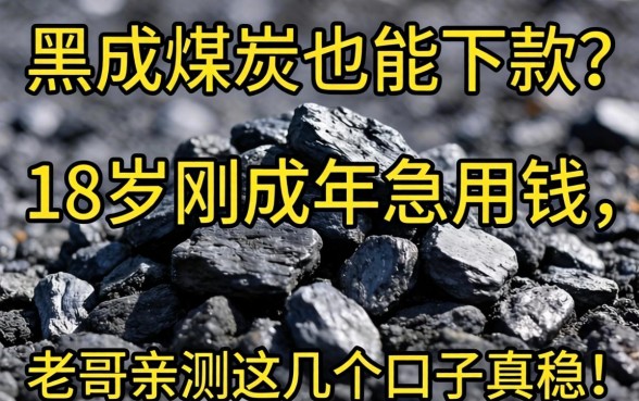 征信黑成煤炭也能下款？18岁刚成年急用钱，老哥亲测这几个口子真稳！