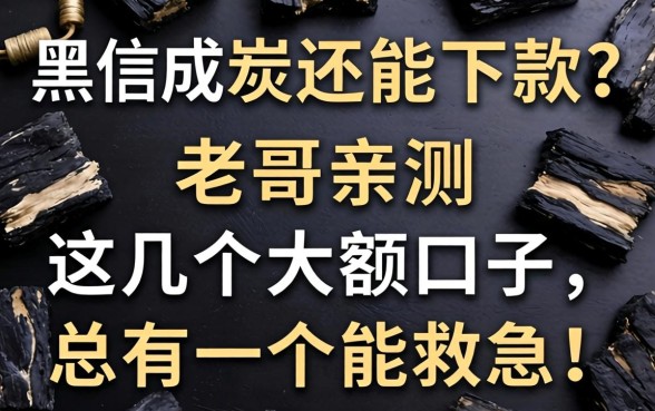 征信黑成炭还能下款?老哥亲测这几个大额口子,总有一个能救急!