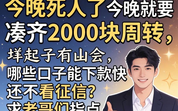 急死人了，今晚就要凑齐2000块周转，哪些口子能下款快还不看征信？求老哥们指点！