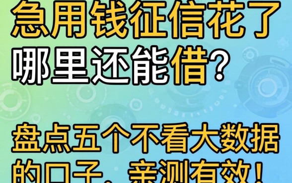 急用钱征信花了哪里还能借?盘点五个不看大数据的口子,亲测有效!