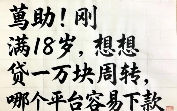 求助!刚满18岁想贷一万块周转,哪个平台容易下款?