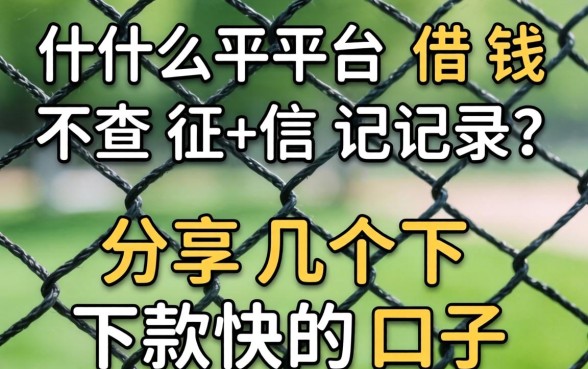网上什么平台借钱不查征信记录?分享几个下款快的口子