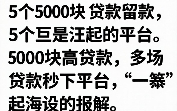 无视黑白直接下款，理出5个5000块贷款秒下平台