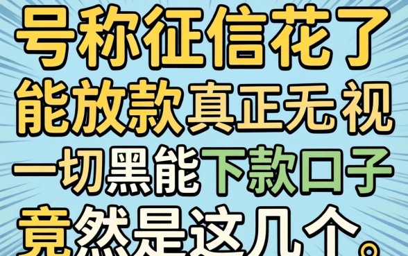 我试了那些号称征信花了能放款的口子，真正无视一切黑能下款口子竟然是这几个