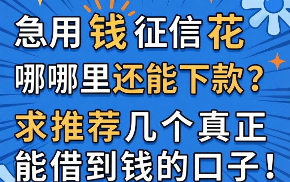 急用钱征信花哪里还能下款？求推荐几个真正能借到钱的口子！